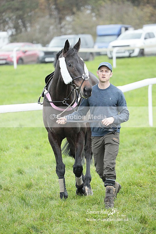 PtP 271122 853 - Hursley Hambledon Hunt Point-to-Point - Larkhill - 27/11/22