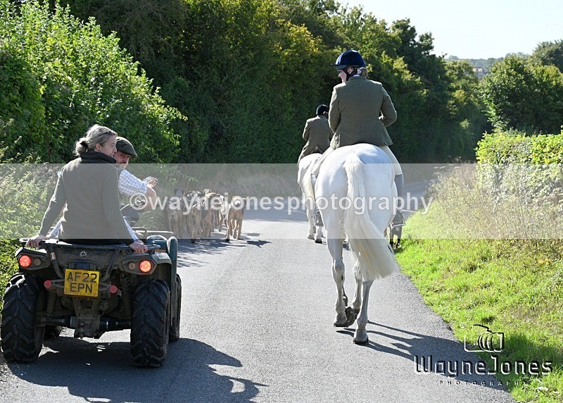 WJ7_0335 - Berks & Bucks - Hound Exercise – Kennels 06-09-26