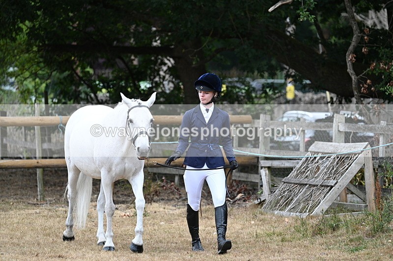 WJ7_8666 - Class 4a Prettiest Mare 14.2hh and over