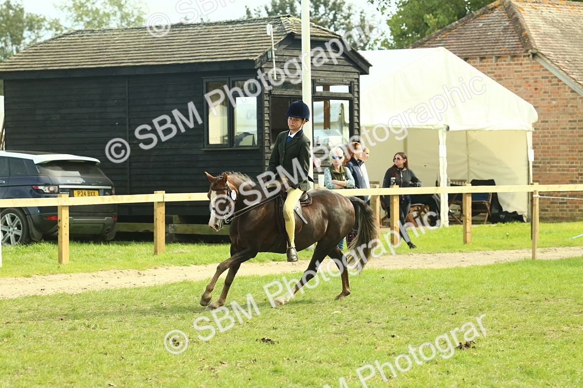 SBM_68060 - S57 - Part Bred Pony Ridden