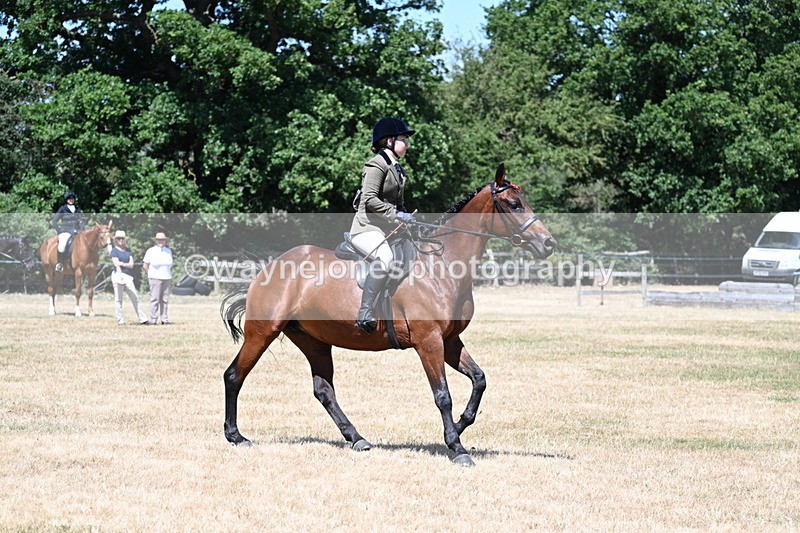 WJ7_3083 - Class 7 Riding Club Show Horse