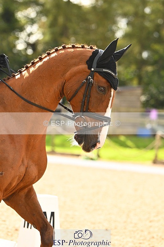 231020-140801-09834 - 305-CHILLI.KNIGHT-Gemma.Stevens-DR