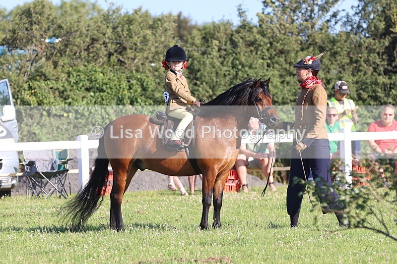 JPP_0746 - Class 16: Cornish Combination Leading Rein