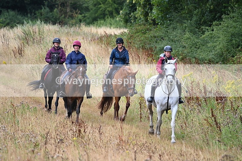 WJ6_1993 - Group 4