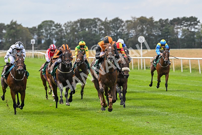 060925-Race 2-Dazzling Haze-4649 - Race 2