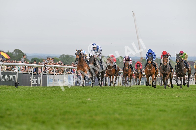 060524-Race 6-Shes Got Bottle-2403 - Race 6