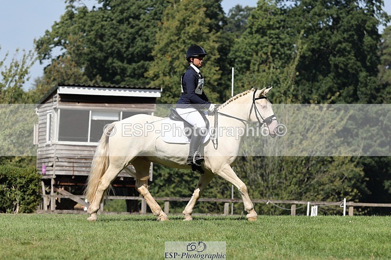 250823A-110443-27859 - Arena D