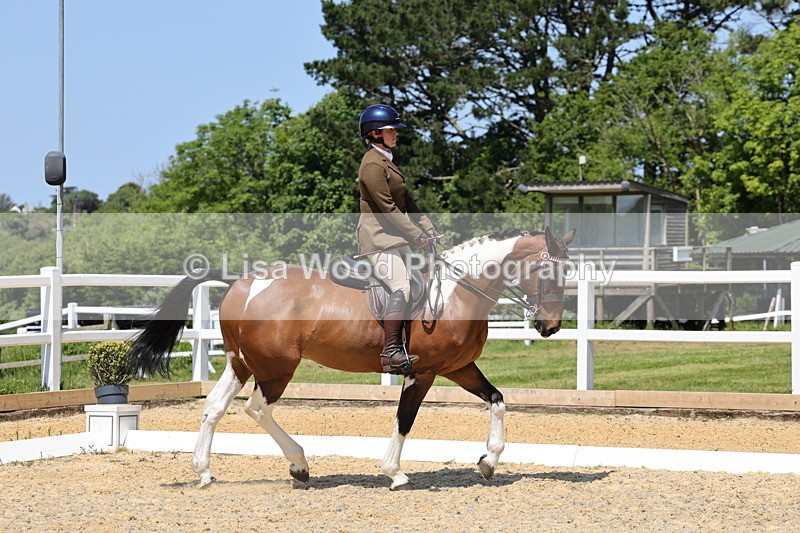 1X9A1811 - Class 12: Ridden Riding Horse/Hack