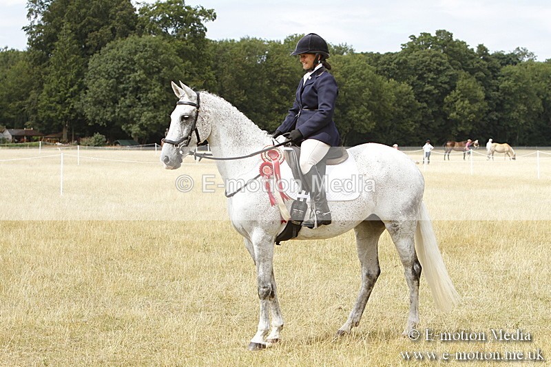 _BS_1017 - Working Hunter Championship BVRC Show 2018