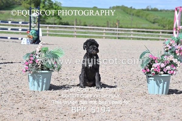 BPP_5194 - CLASS 36 MON Scottish Spring Final 1.10m