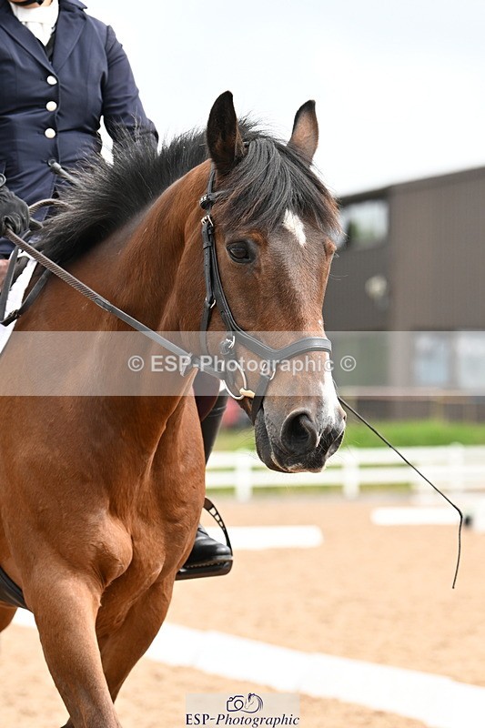 240623A-103940-16769 - Cls 29+30 Quest Prelim 12