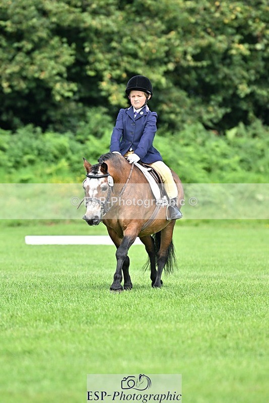 230826-103323-16570 - Sections A & B 10 to End