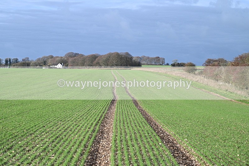 WJ7_3463 - Camera A