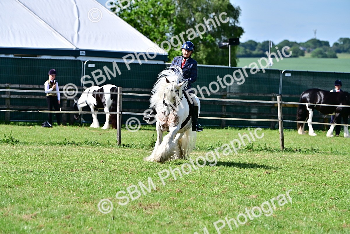 SBM_09392 - Class 63-65 - Traditional Gypsy Cobs In Hand & Ridden
