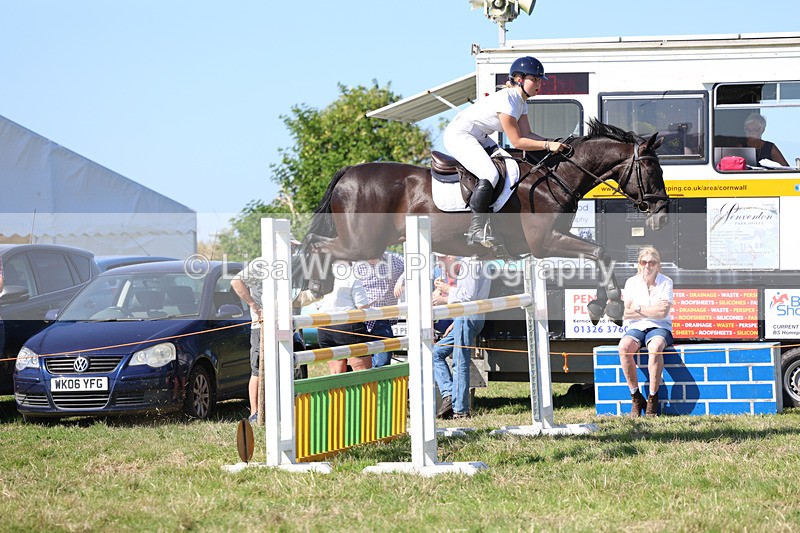 3E7A6560 - Class 13: Senior Newcomers/1.10m open