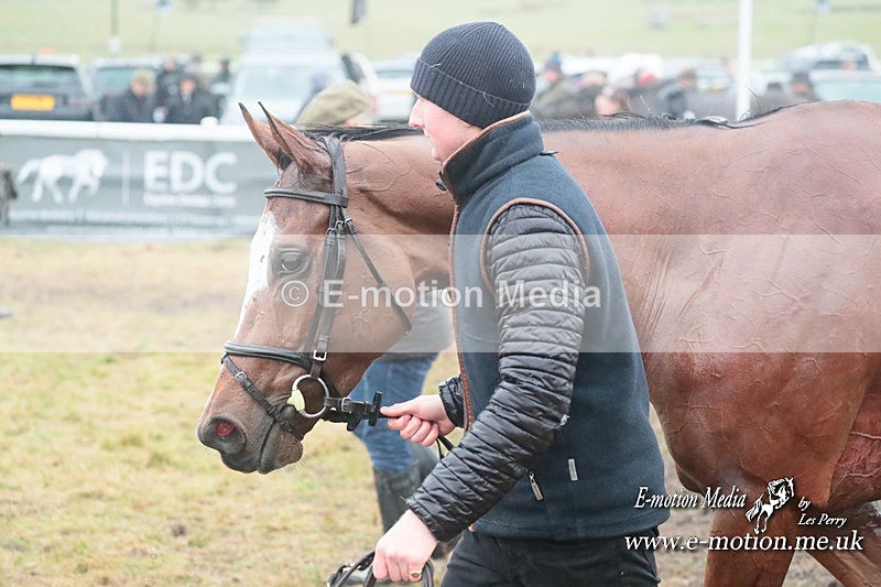 PtP 101223 554 - New Forest Hounds PtP Larkhill 10/12/23
