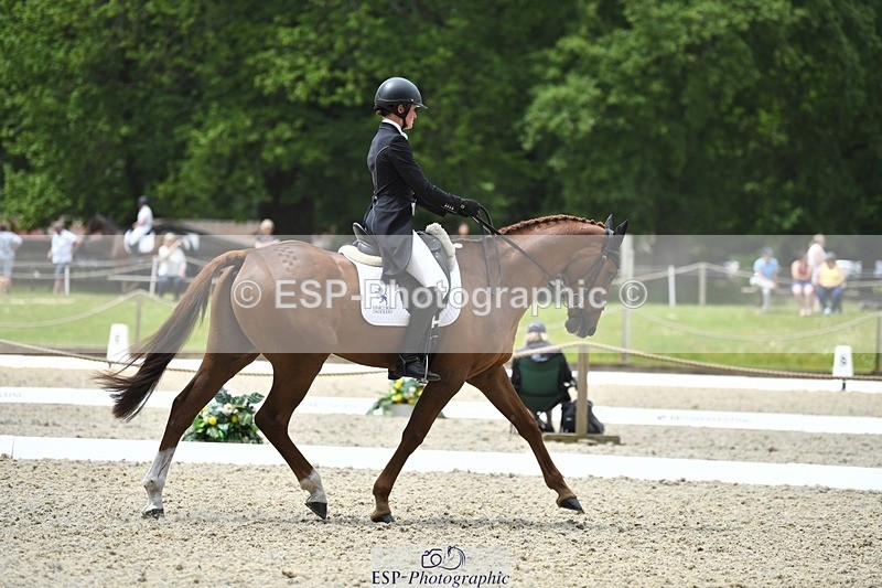 230525-130054-02079 - 113-I'M_A_WONDER-Rosie_Fry-WEDTrotUp+DR