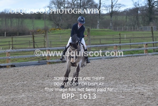 BPP_1613 - CLASS 9 Pony Newcomers/ 1m