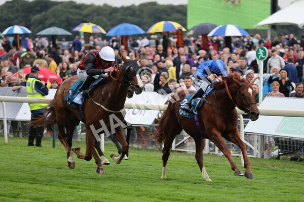 yr22072022r2-23 - Race 2 5.50pm eventmasters.co.uk Stakes