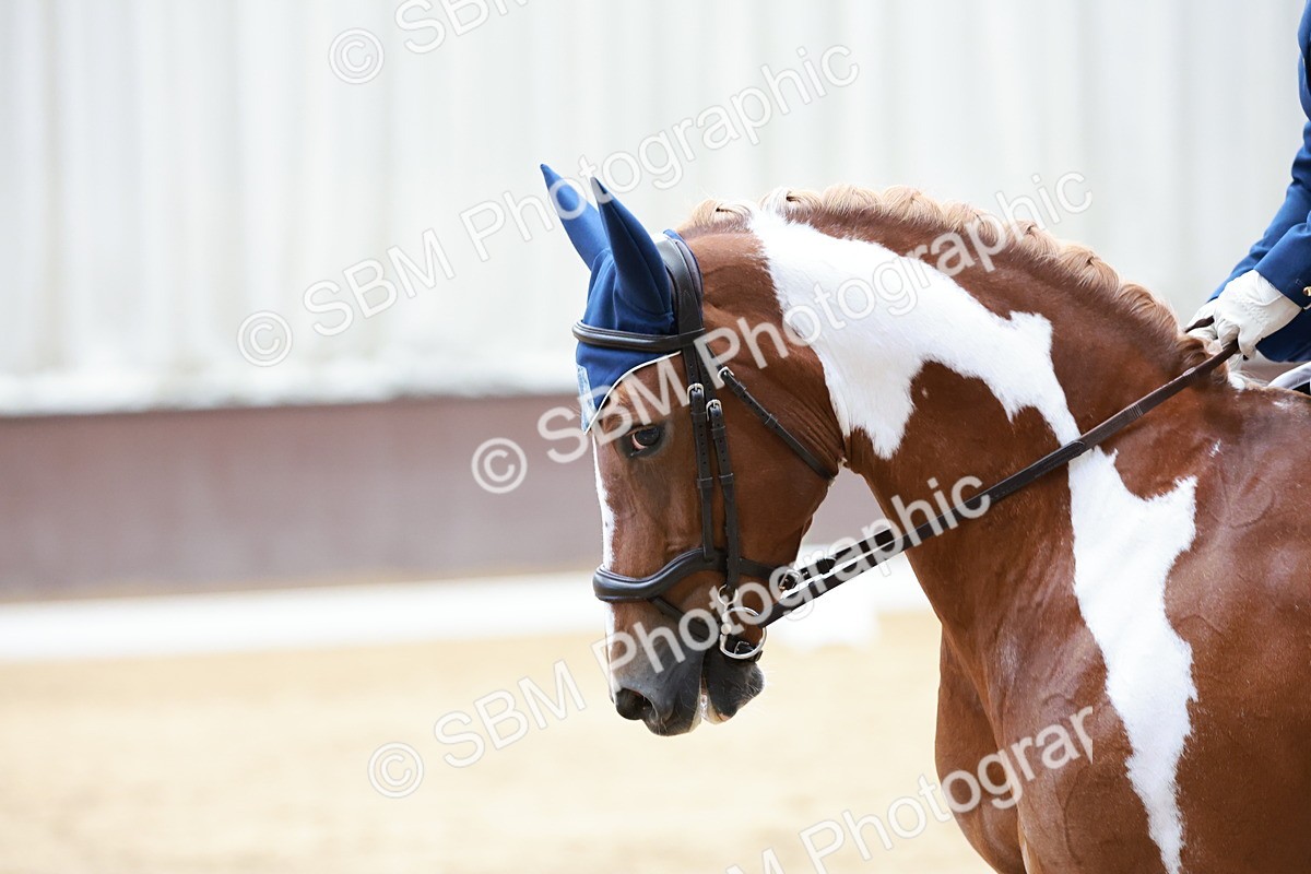 SBM_008990 - Class 6b - Novice 6 - 11.02-12.19