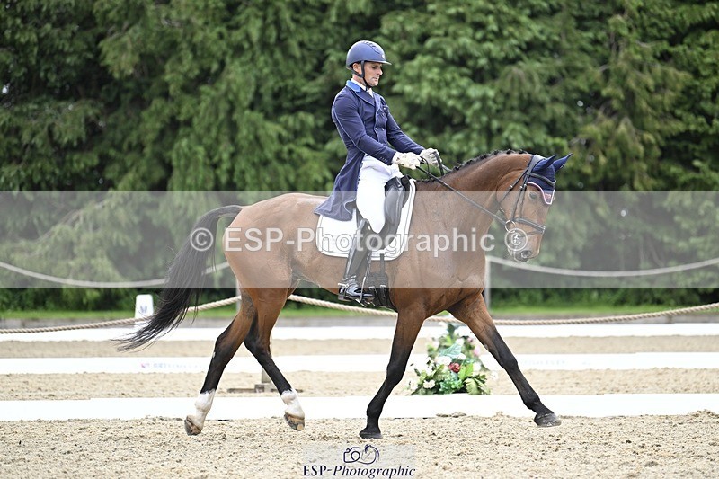 000101-202918-04161 - 415-ARDEO_PREMIER-Alexander_Bragg