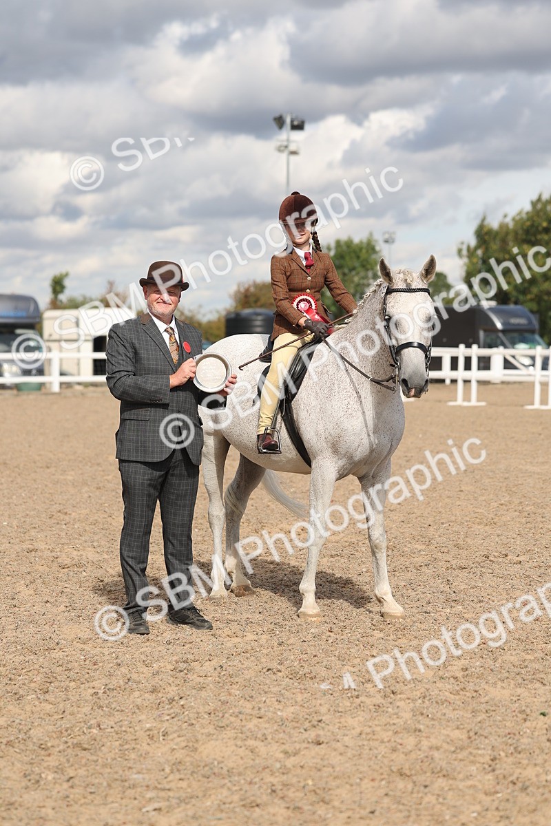 SBM_13197 - Class 306 - Ridden Foreign Breds - Part Bred