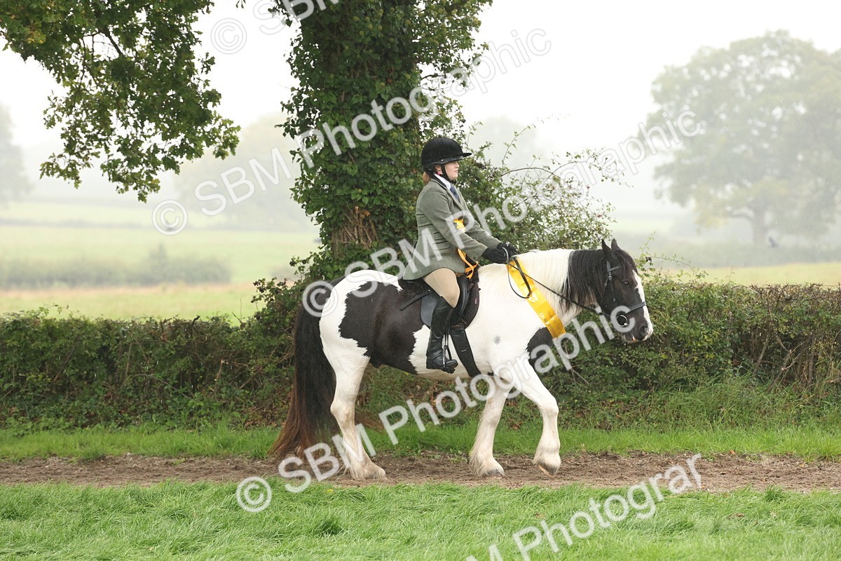 SBM_72876 - S70 - Traditional Cob Ridden