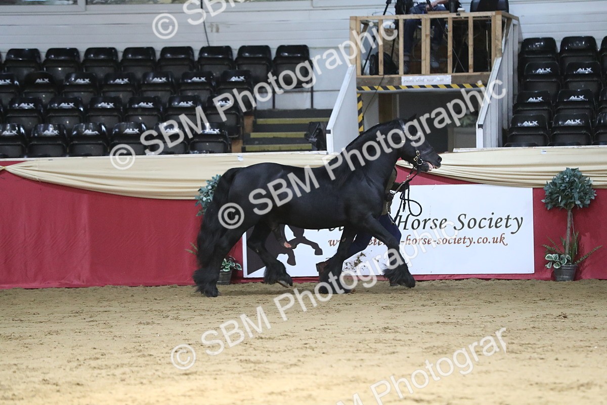 SBM_06529 - Regional IH Champ