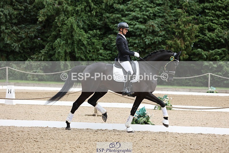 240810-132102-03304 - Medium Gold