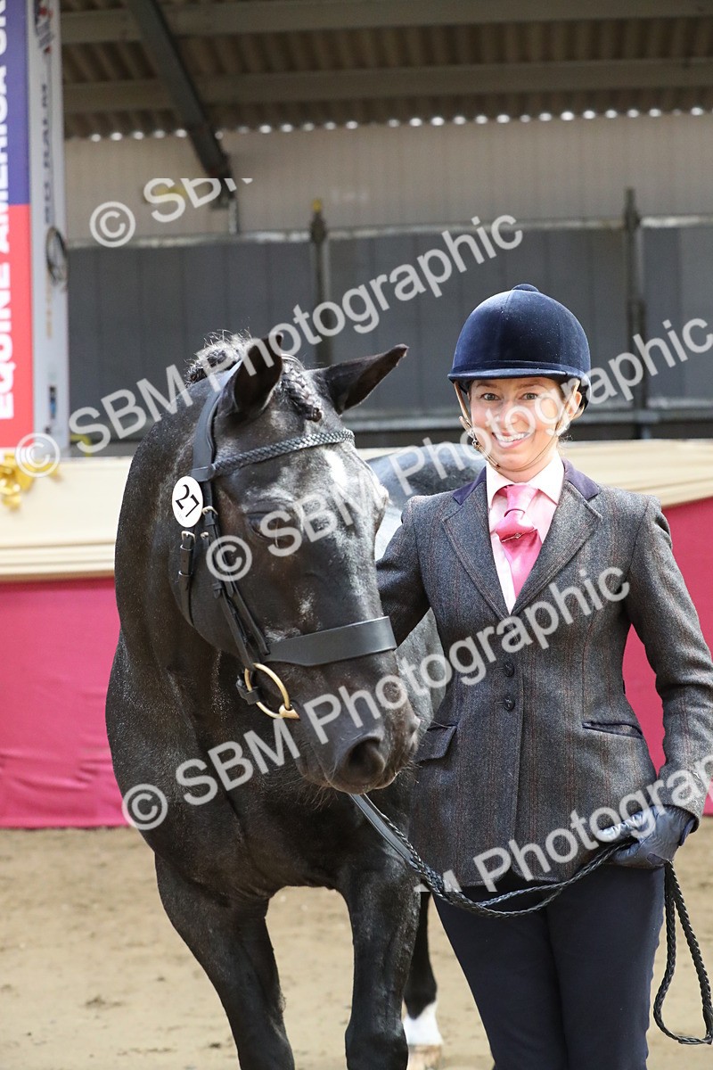 SBM_04430 - Class 7R Regional - IH Diamond