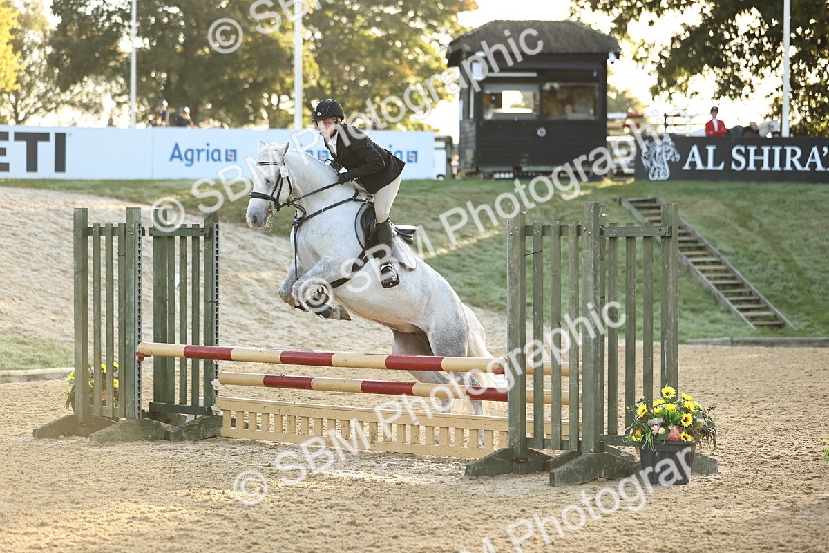 SBM_32910 - J38 - Senior 80cm Championship