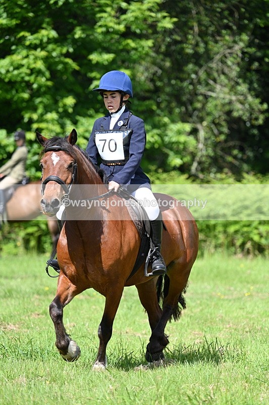 WJ7_1192 - Class 11 Condition & Turnout