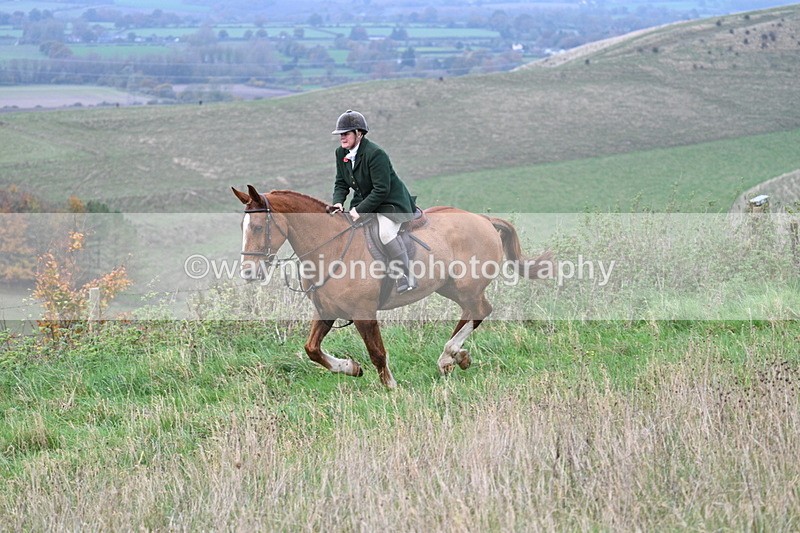 WJ7_9875 - Camera 1 & Last fence