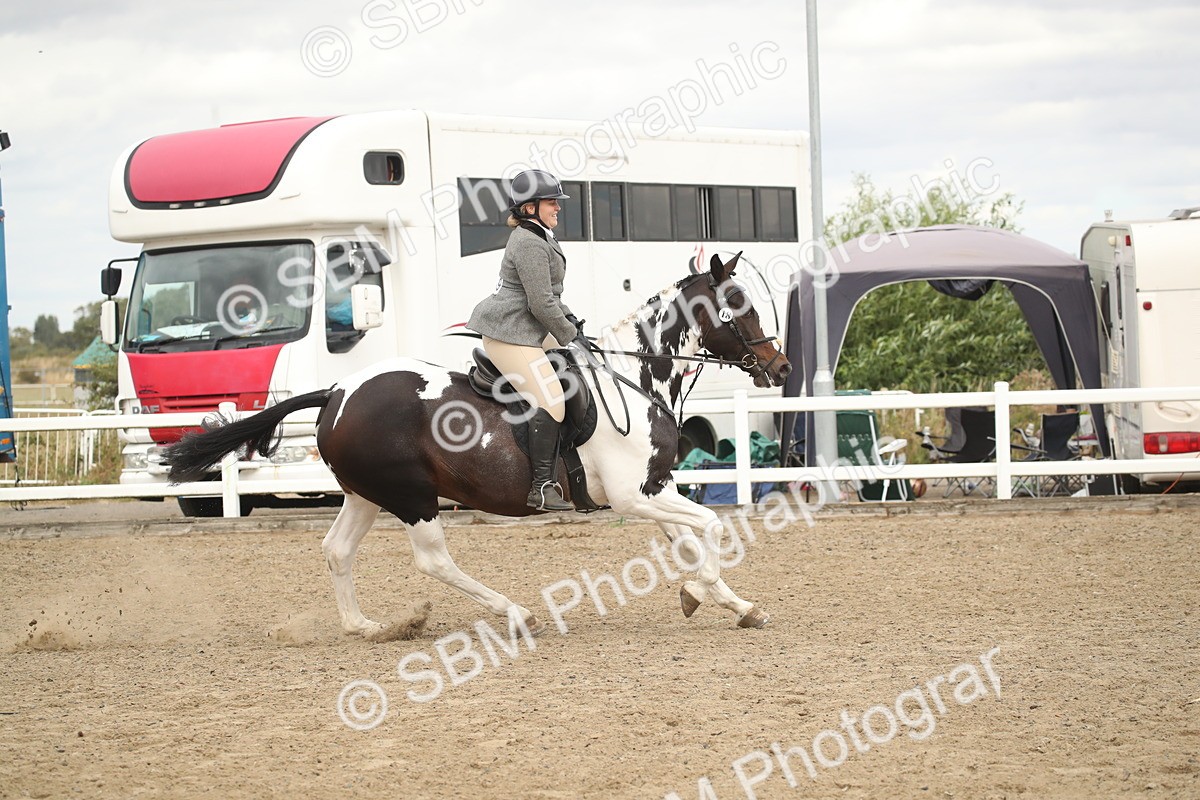 SBM_16628 - Class 507a - Working Veteran - 60cm (15-19)