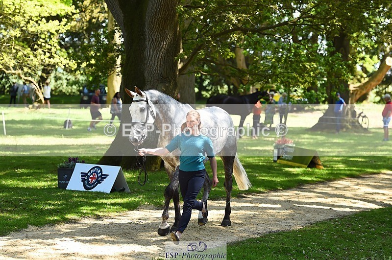 230524-151626-00173 - 316-D'ARTAGNAN-Tiana_Coudray-WEDTrotUp+DR