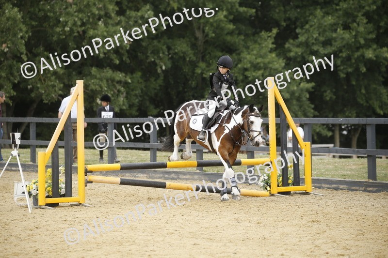 20250622-6056 - 60cm