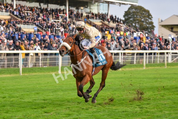 131023-Race 5-Irish Nectar-9683 - Race 5 4.25pm Parsonage Hotel And Cloisters Spa Nursery Handicap