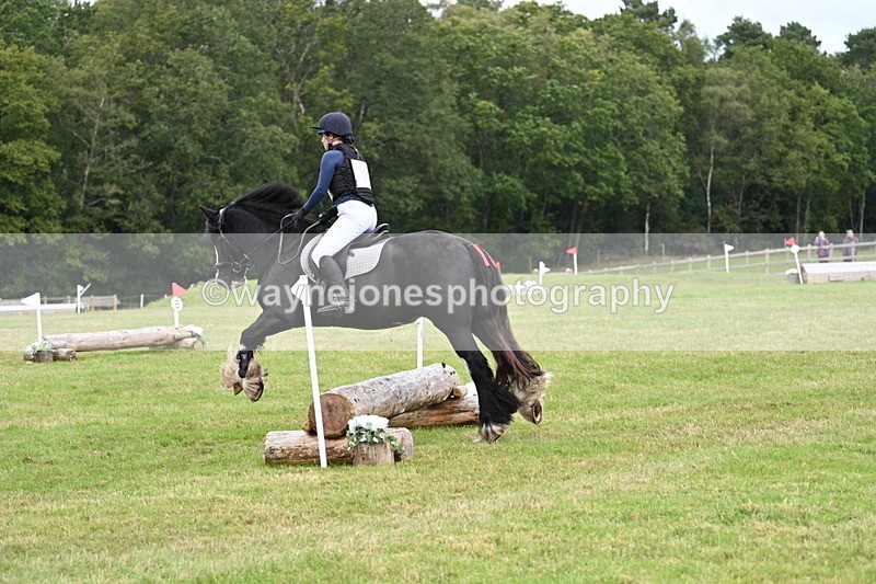 WJ7_9351 - 60cm Time 12:51 to 13:18