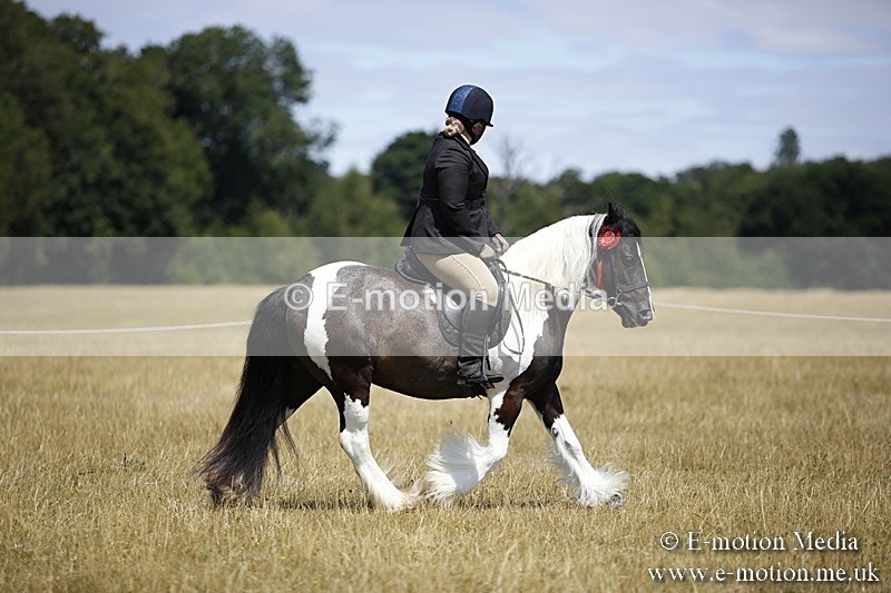 _C7A0008 - BVRC Show 2018 Ring 1