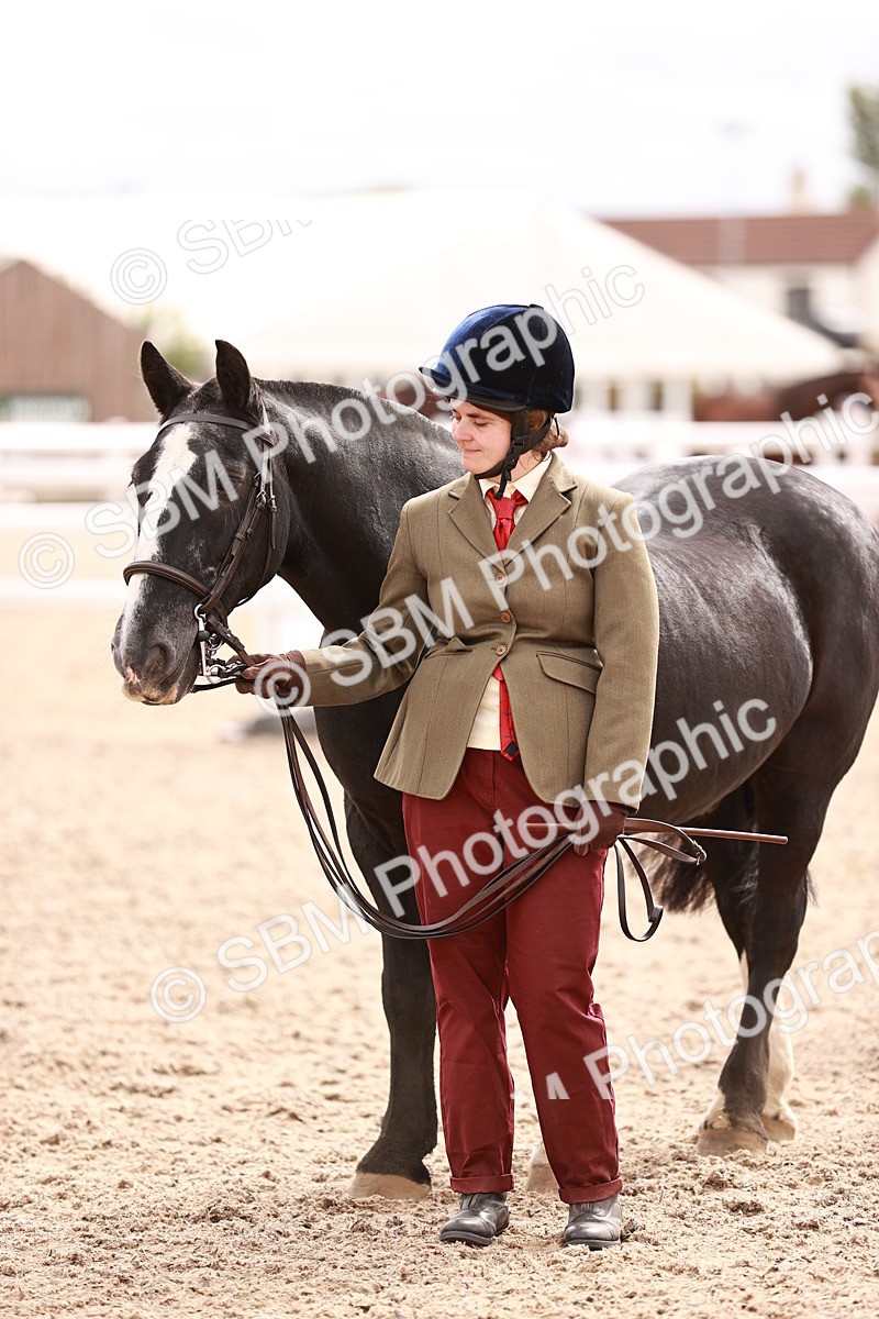 SBM_16320 - Class 413 - Best Condition - Adult