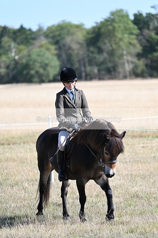 WJ7_3088 - Class 8 Ridden Tack & Turnout