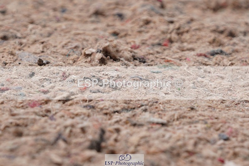 250510-123622-11306 - Cls 15 Prestige Big Star Quali  1st Jump Off