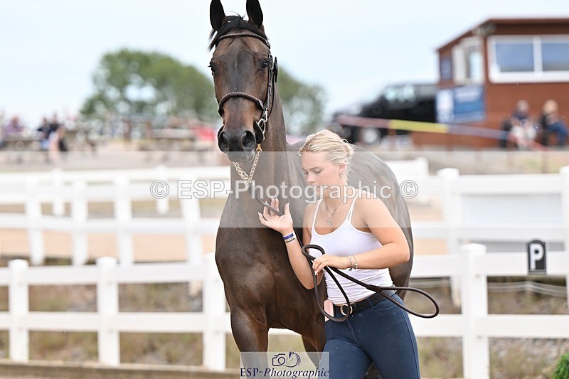 250716-161031-02490 - Trot Up 3.30 to 4.30