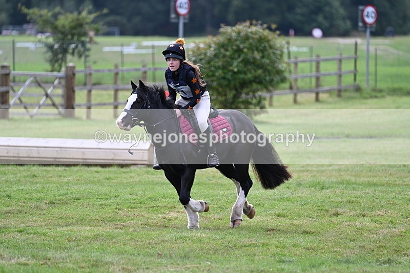 WJ7_8022 - 40cm Time 10:49 to 11:18