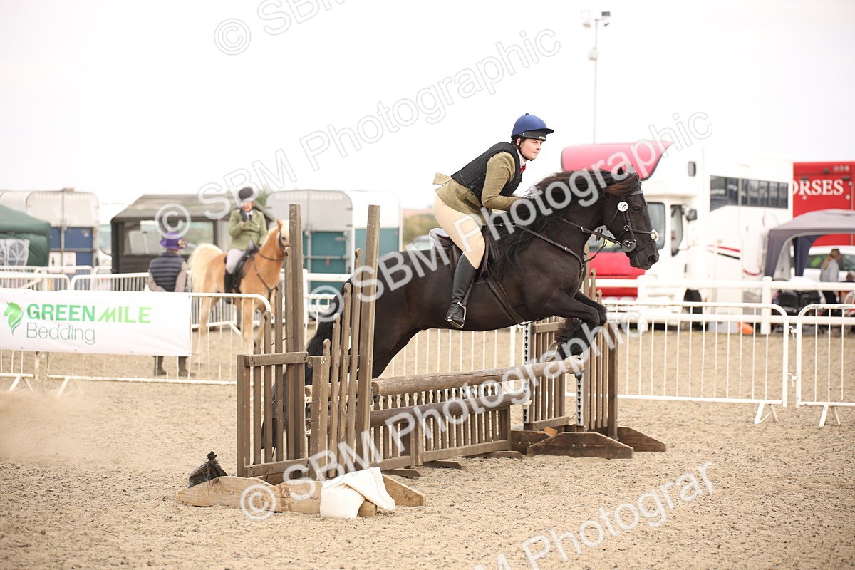 SBM_16187 - Class 409a - Working Veteran 80cm (15-19)