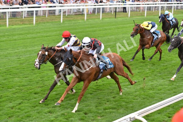 yr18082022r3-39 - Race 3 3.00pm Clipper Logistics Stakes