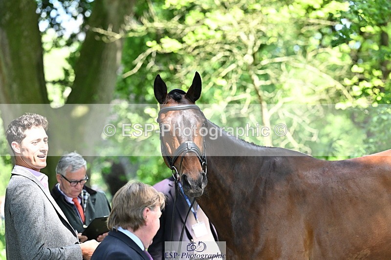 250521A-154124-00694 - B-351-Will.Rawlin-MACKENZY