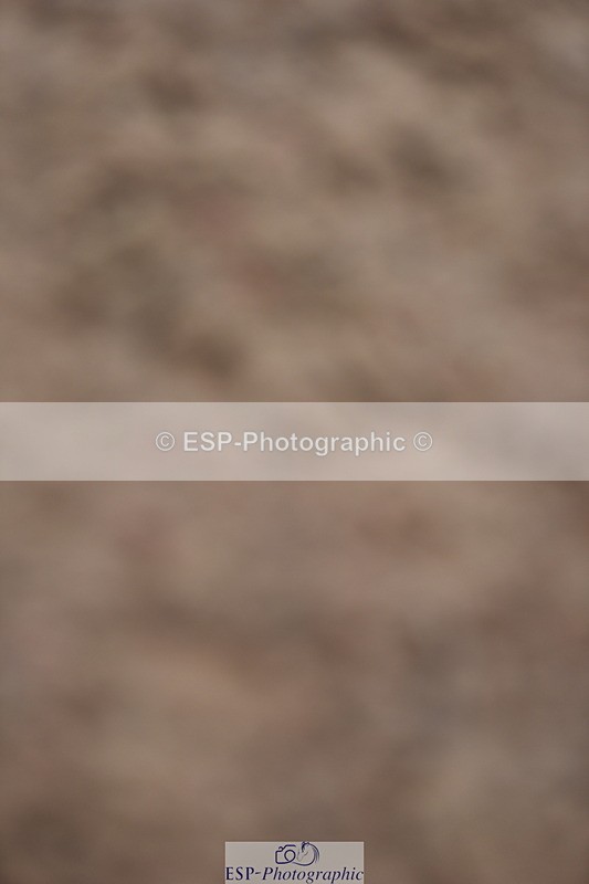 230902A-101412-00271 - Cls 7 95cm Amateur Quali