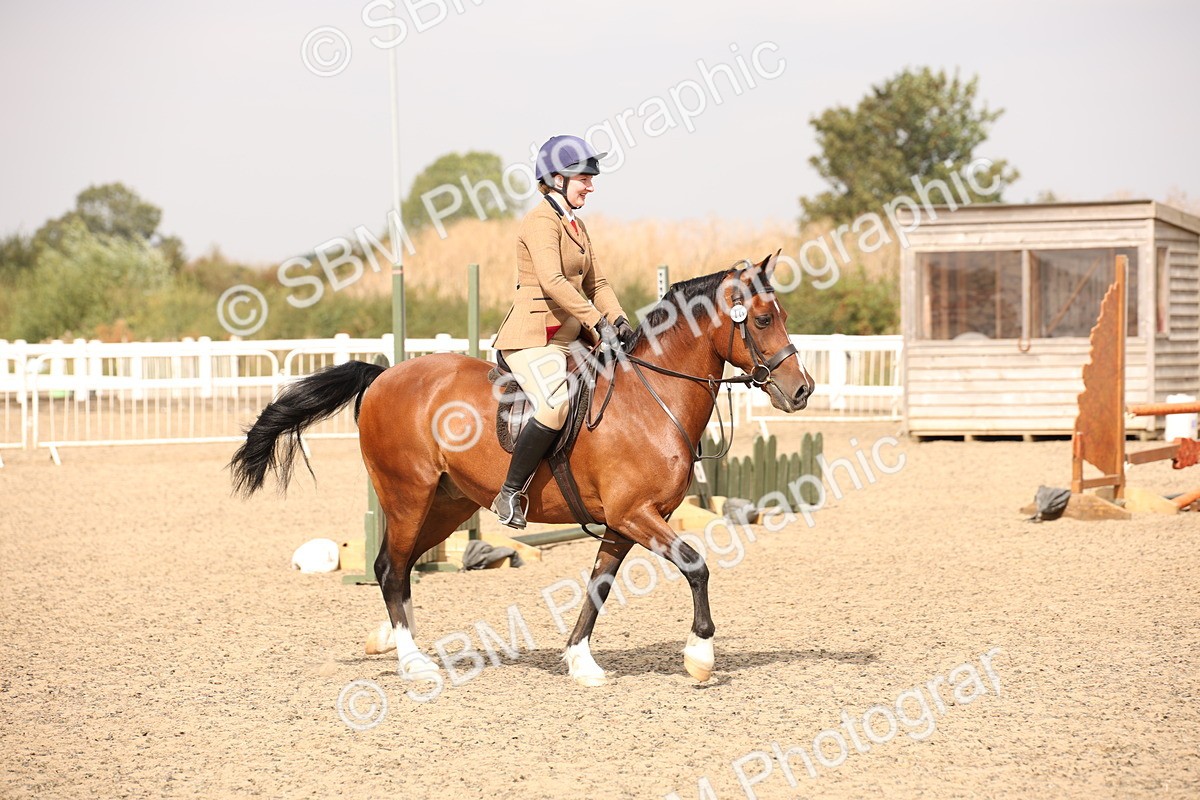 SBM_12235 - Class 405a - M&M Working Veteran 50cm (15-19)