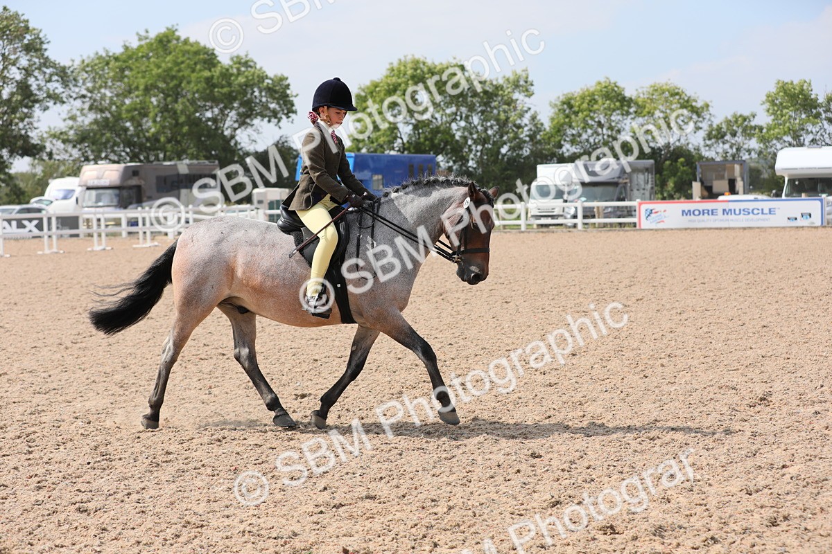 SBM_14699 - Class 310 First Ridden Pony